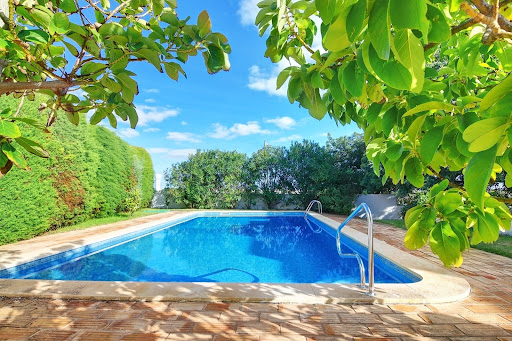 A beautiful pool is seen through two trees and glistening green leaves shine in the summer sun.
